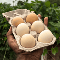 Eggs - Nattu Koli Muttai