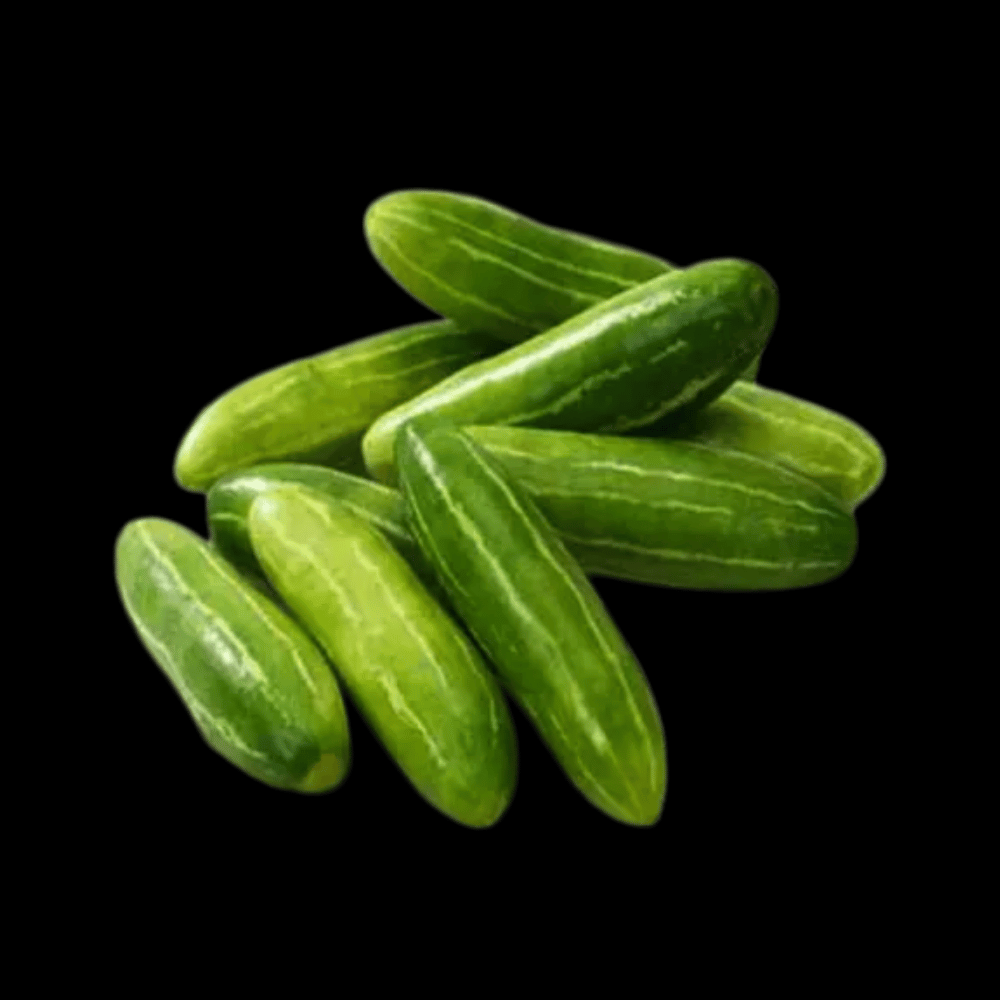 வெள்ளரிக்காய்  - Cucumber