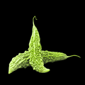 பாகற்காய் - Bitter Gourd