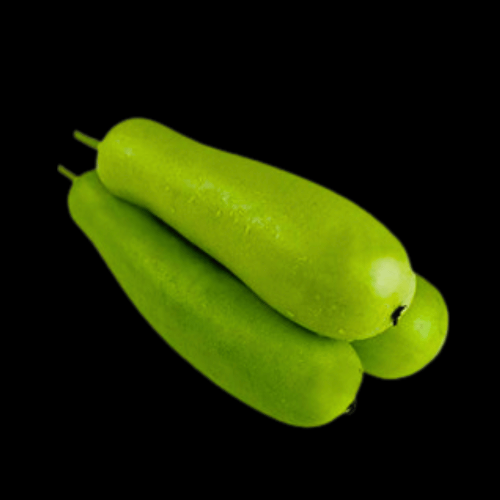 சுரக்கை - Bottle Gourd