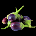 கத்திரி - Brinjal (Eggplant)