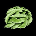 அவரை - Broad Beans
