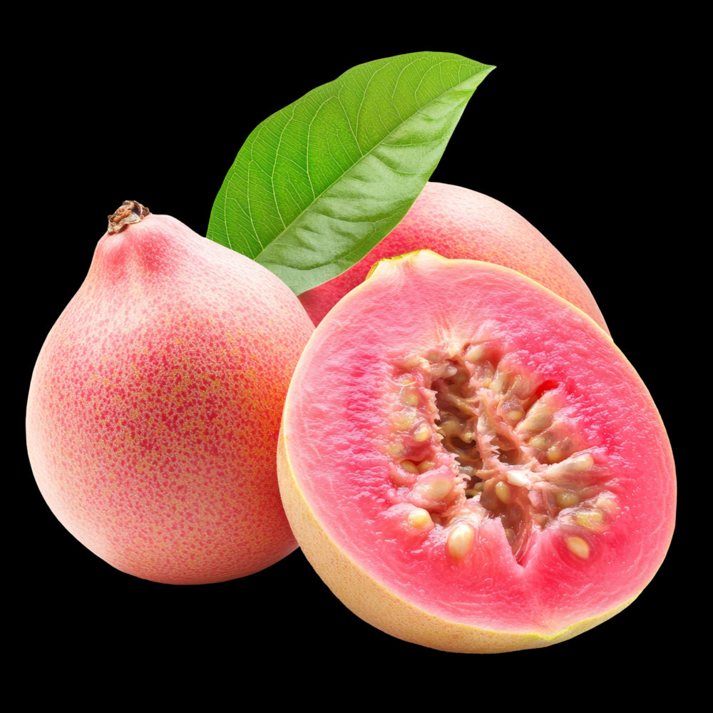 சீனக் கொய்யா – Chinese Guava