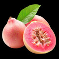 சீனக் கொய்யா – Chinese Guava