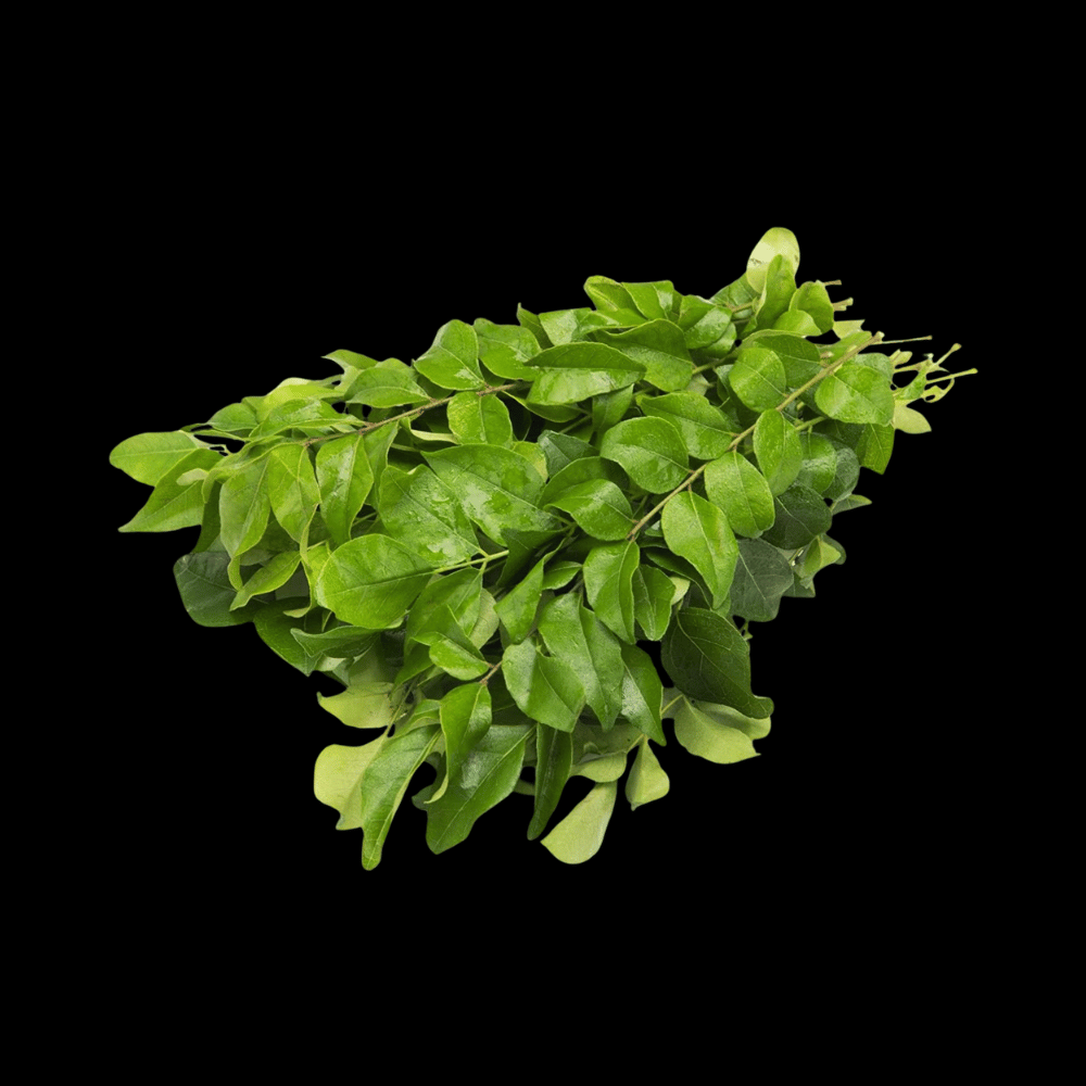 கருவேப்பில்லை - Curry Leaves 80-100gms (Karuvepillai)