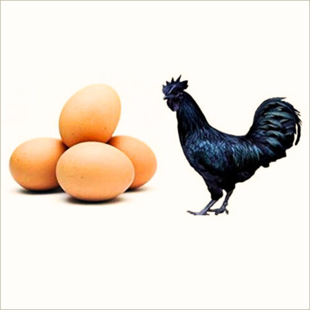 Eggs - Kadaknath