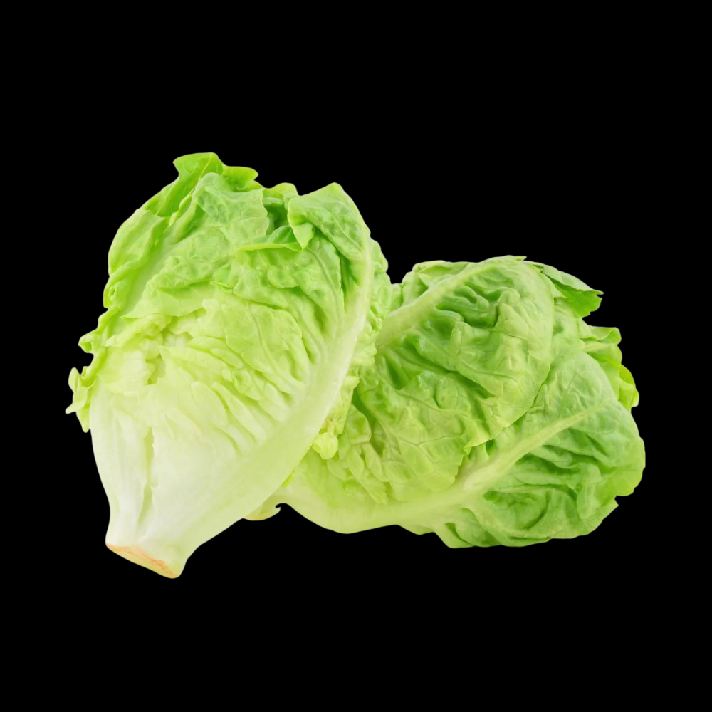 ஐஸ்பெர்க் கீரை - Iceberg lettuce