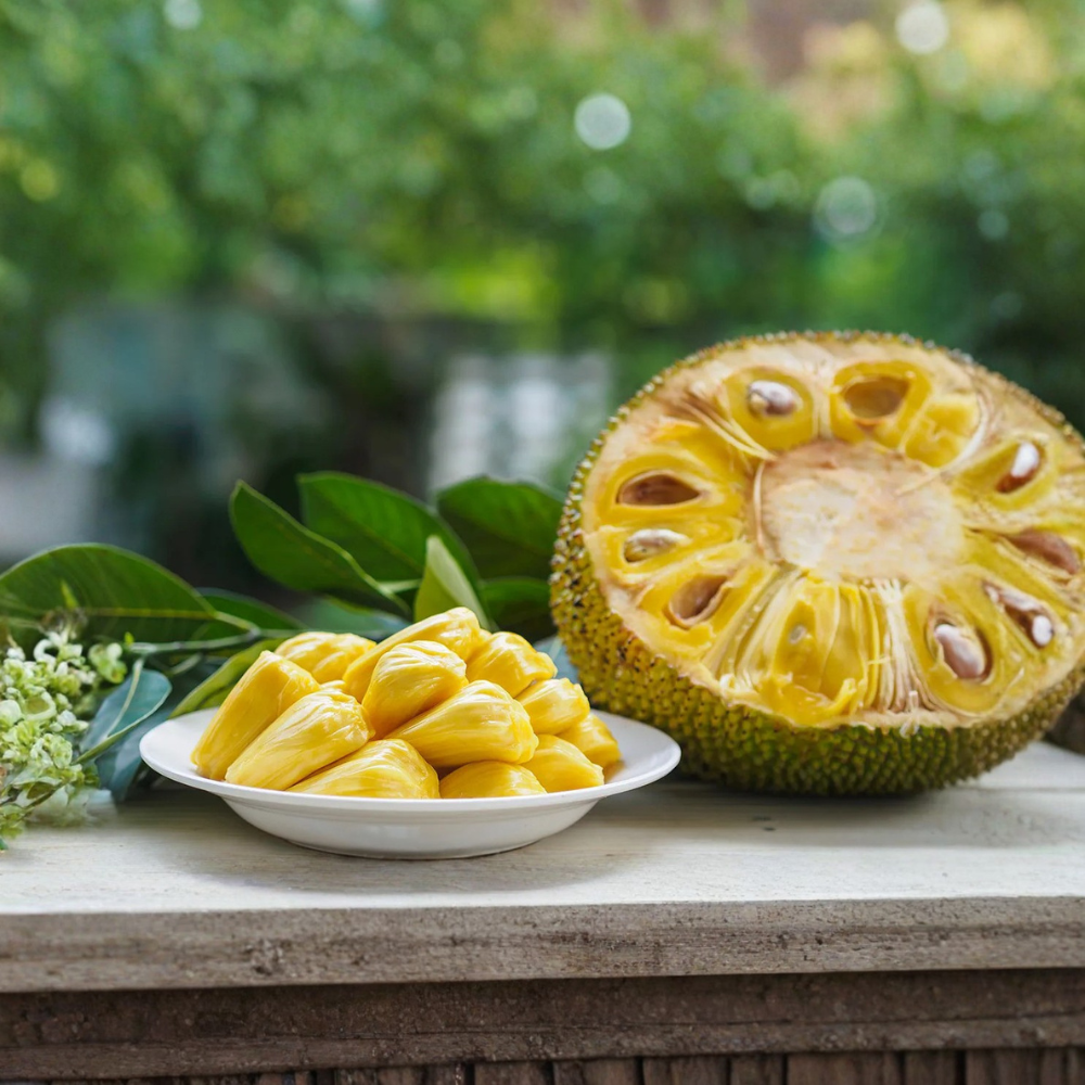 பலாப்பழம் - Jackfruit (பலூர் 1 /Paloor 1)