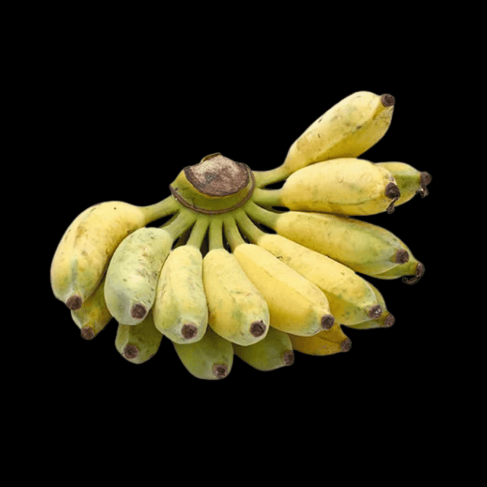 கற்பூரவல்லி வாழைப்பழம் - Karpuravalli Banana