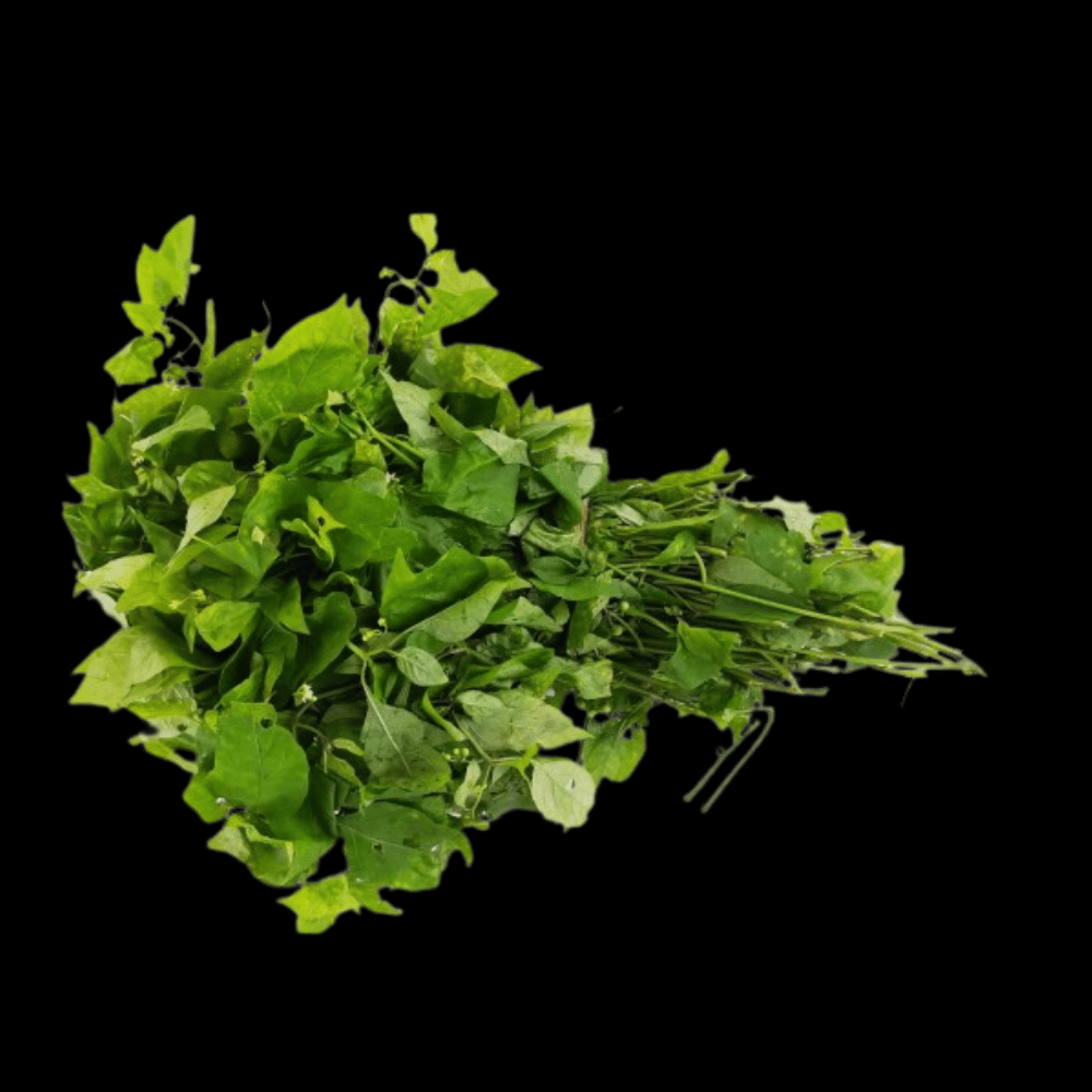 மணத்தக்காளி கீரை (Manathakkali Keerai)