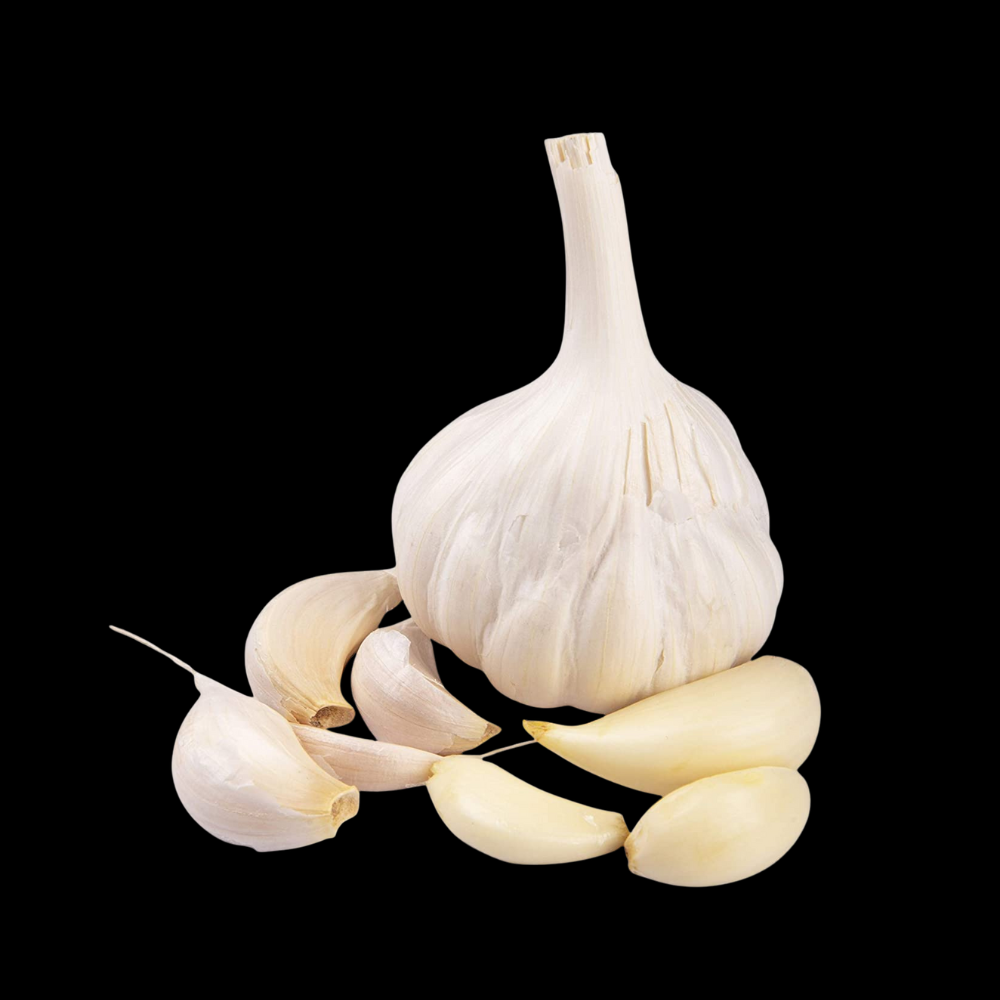 மலை பூண்டு - Garlic Mountain