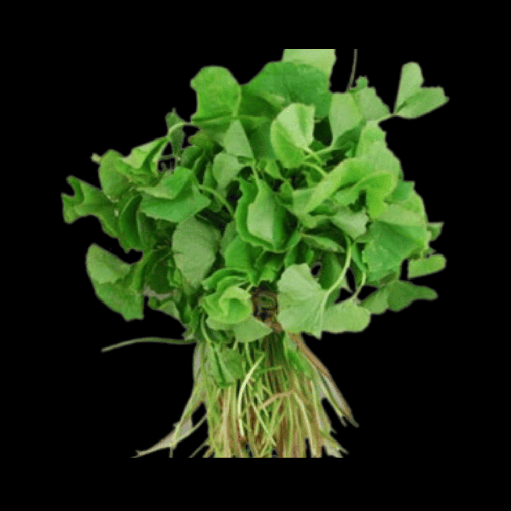 நாட்டு வல்லாரை - Nattu Vallarai