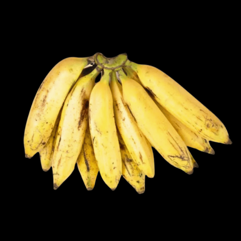 நேந்திரன் - Nendran Banana