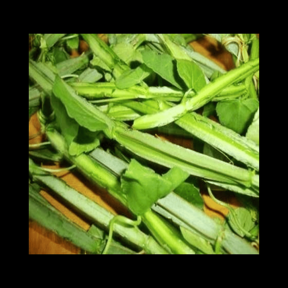 பிரண்டை - Pirandai