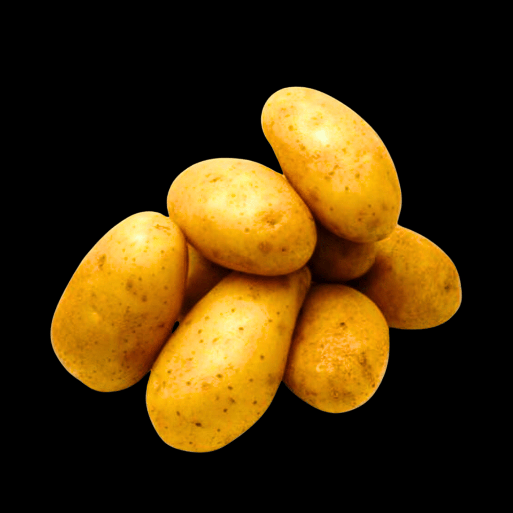 உருளைக்கிழங்கு - Potato