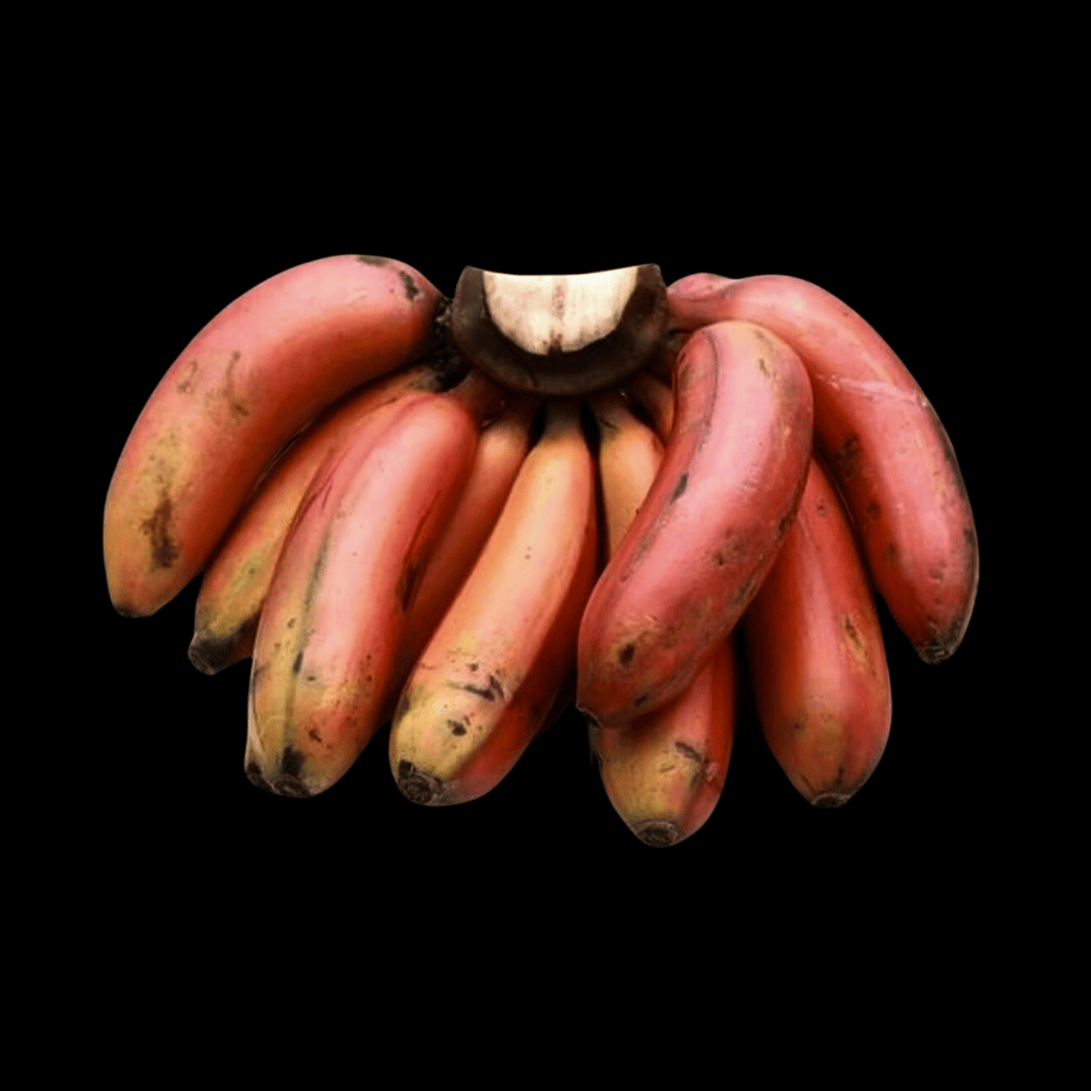 செவ்வாழைப்பழம் - Red Banana