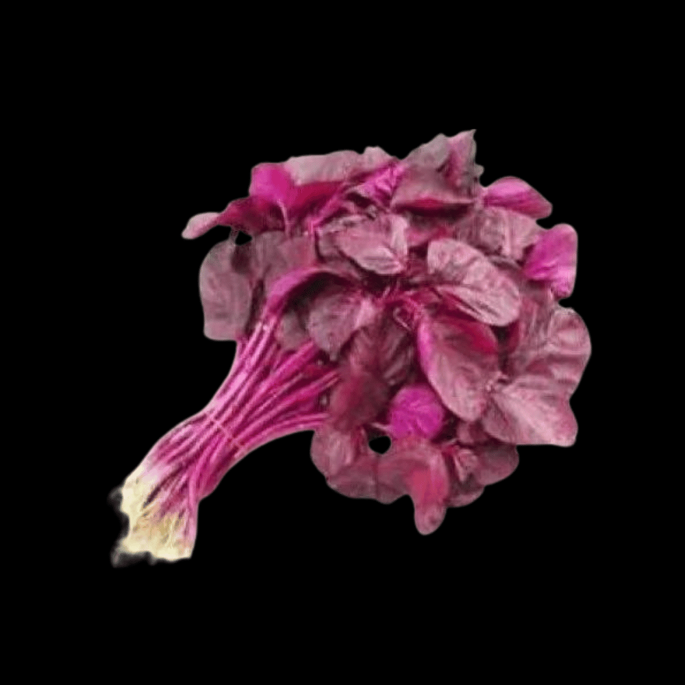 சிவப்பு தண்டு கீரை - Red Stem lettuce