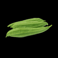பீர்க்கங்காய் - Ridge Gourd
