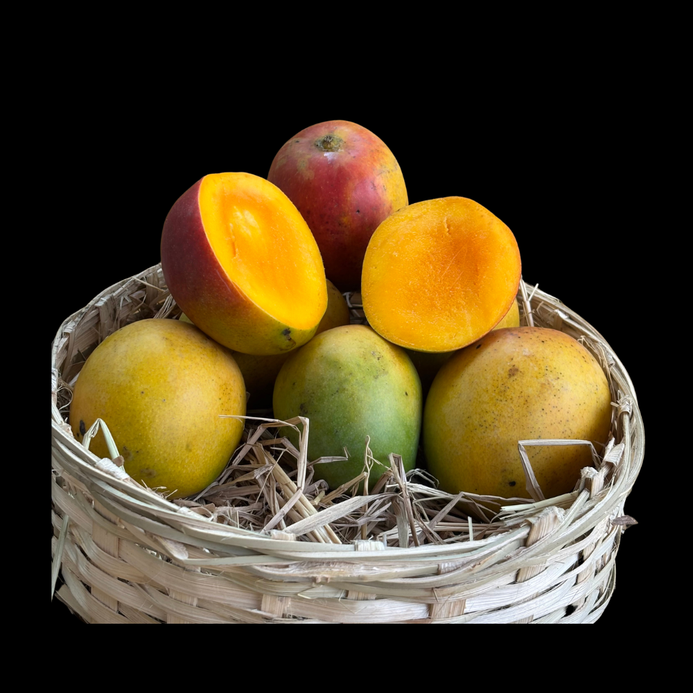 செந்தூரா மாம்பழம் – Senthoora Mango