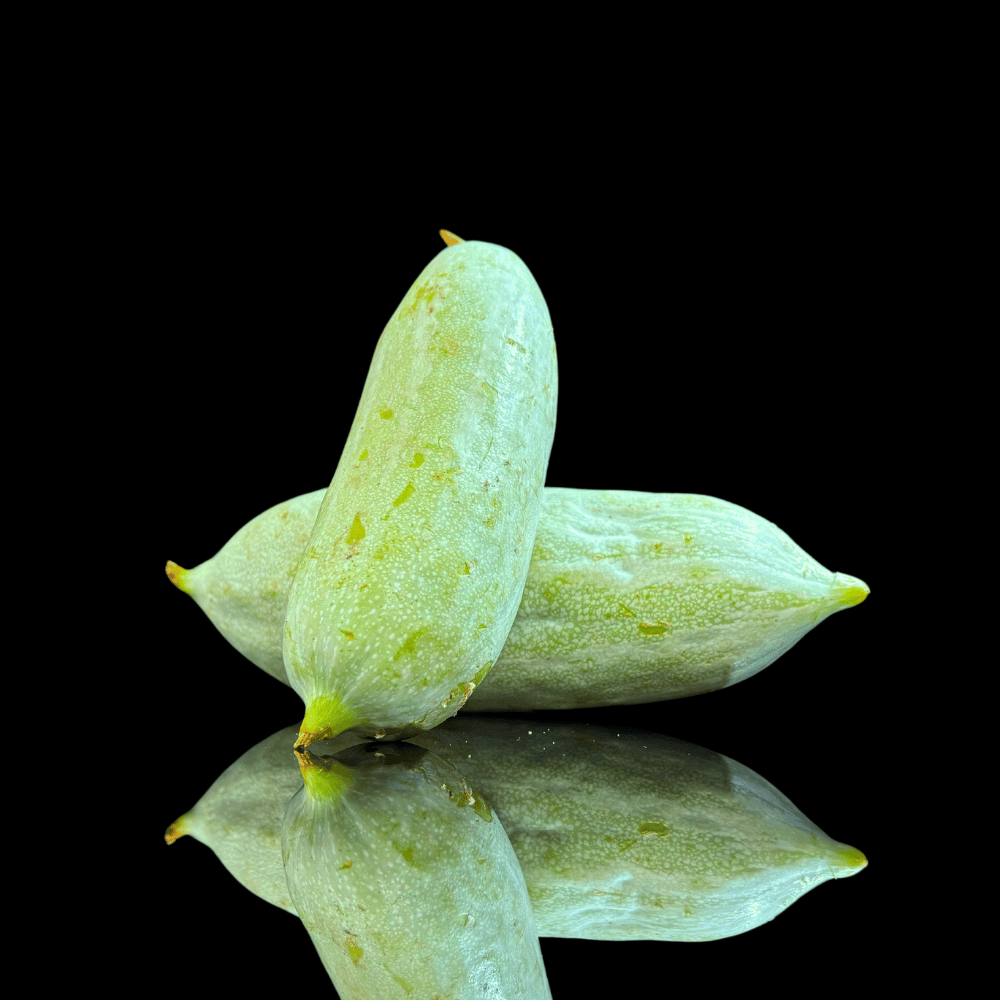 புடலை - Snake Gourd