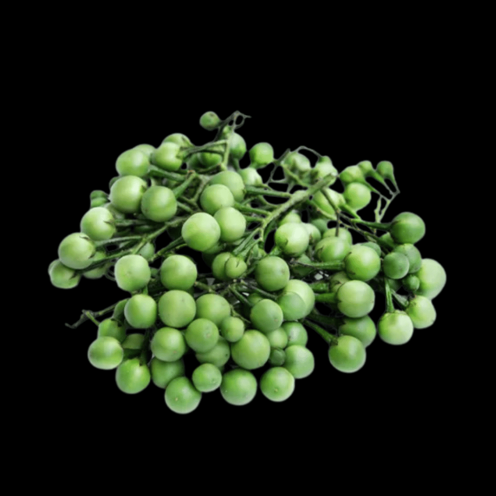 சுண்டக்காய் - Sundakkai