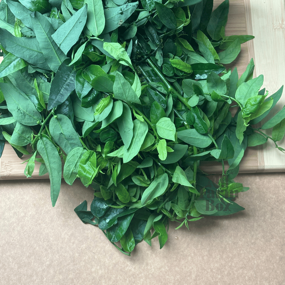 தவசி கீரை - Thavasi Keerai