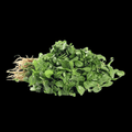 சிறு கீரை - Tropical Amaranth