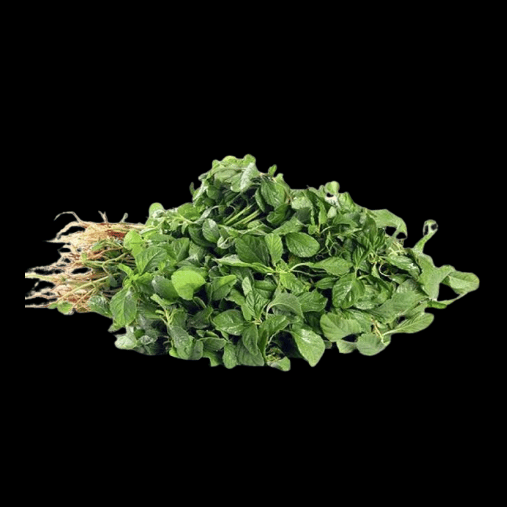 சிறு கீரை - Tropical Amaranth