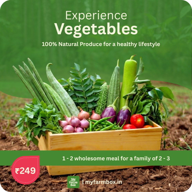 Vegetables Trial Pack