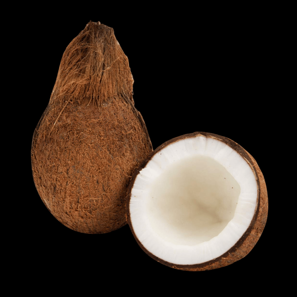 தேங்காய் - coconut